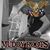 Nicky Van Moerbeke's profile image