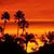 Dennis Culley Sr.'s profile image