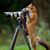 Dennis Gage's profile image