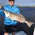 Terry Mendenhall Shurtleff's profile image