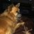 Sandy Barnes's profile image
