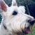 Diane Covan Dennis's profile image