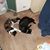 Jennifer Bonners's profile image