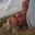 Addie OD's profile image