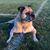 Dave Tolin's profile image