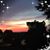 Pat Stricker-Howe's profile image