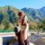 Caroline Cardona's profile image