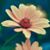 Becky Butela's profile image