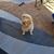 Sean Ridgewell's profile image