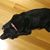 Dean Catherman's profile image