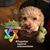 Christine Clark Zook's profile image