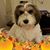 Barbara Freedman Wilson's profile image