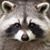 Doug Hisaka's profile image