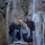 Lisa R. Johnson's profile image