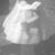 Karen Powell's profile image