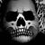 Martin Reyna's profile image