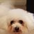Sondra Lathbury's profile image