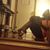 Tracey Harris's profile image