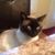 Carolyn Baird's profile image