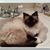 Catherine Greene's profile image