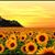 Blanca Loera's profile image
