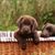 Jo Ellen Blevins Bell's profile image