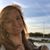 Cecelia Garmer's profile image