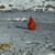Sharon Menke's profile image