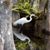 Carol McCutcheon's profile image
