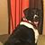 Gina Meehan Taylor's profile image