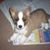 Sandra Ross's profile image
