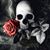 Linda Diane's profile image