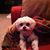 Mary Pat Taylor's profile image