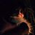 Mary Johnson's profile image