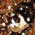 Renee DuBois's profile image