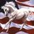 Cindi Hansen's profile image