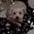Marlene White's profile image