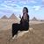 Neda Ahson's profile image