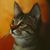 Neko Mao's profile image