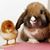 BethAnn Burazin's profile image