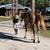 Diane Buhler's profile image