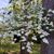 Catherine Efferson Beaird's profile image