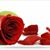 Feriyal Lakhani's profile image