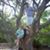 Cindy Harrison Conner's profile image
