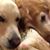 Jennifer Wichman's profile image