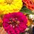 Patty Reisinger's profile image