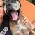 Jill Gordon's profile image