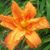 Patty Kern Clarkson's profile image