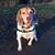 Karen Docherty's profile image