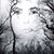 Lori Cooke's profile image